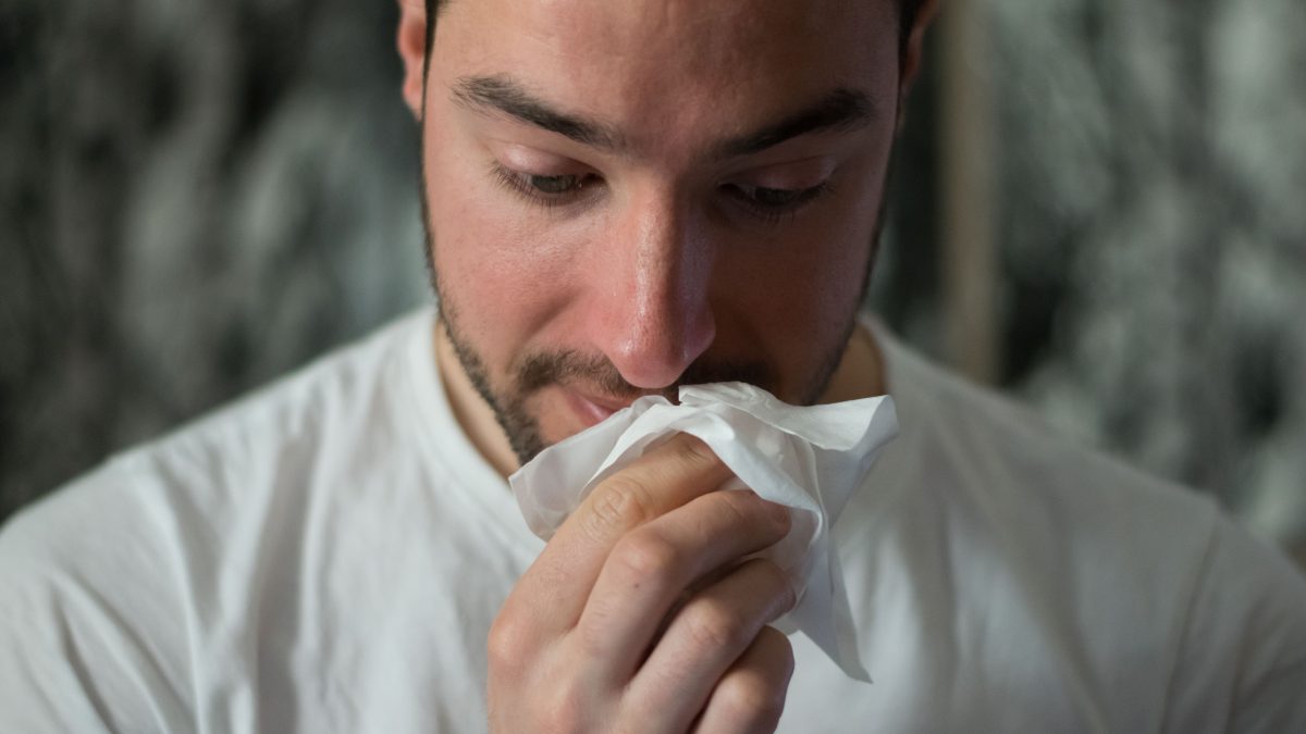 allergies or common colds the differrences