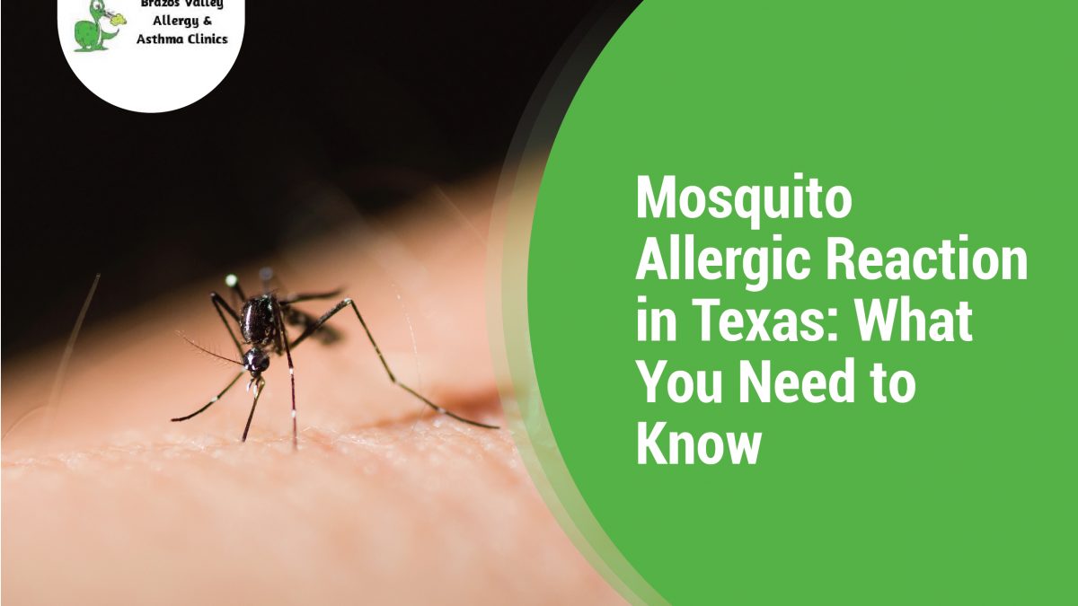 Mosquito Allergic Reaction
